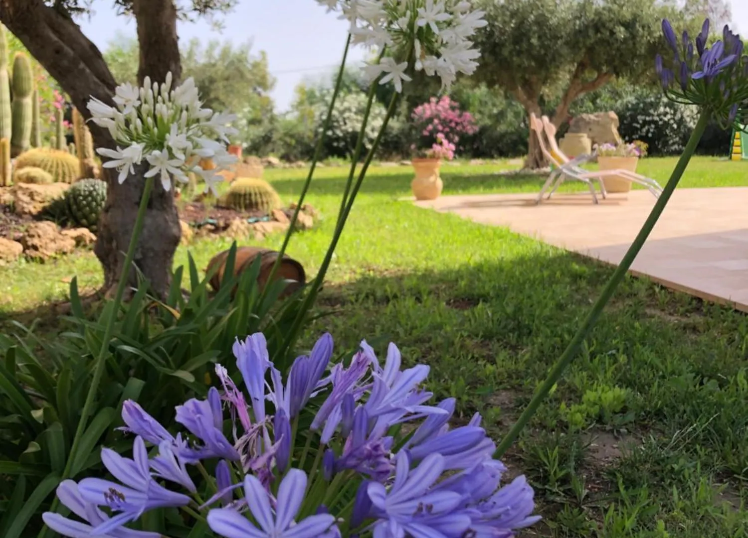Le Maioliche Allo Stagnone Marsala Holiday home